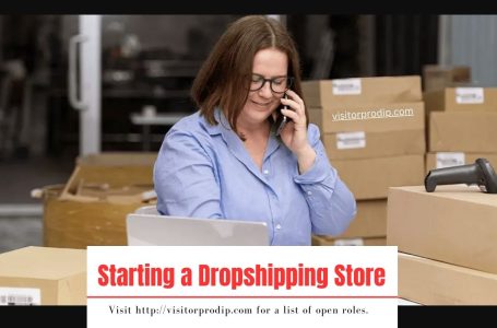 Step-by-Step: How to Build a Profitable Dropshipping Store