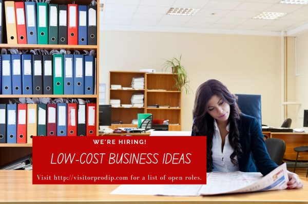 11 Low-Cost Business Ideas. Start Your Own Business